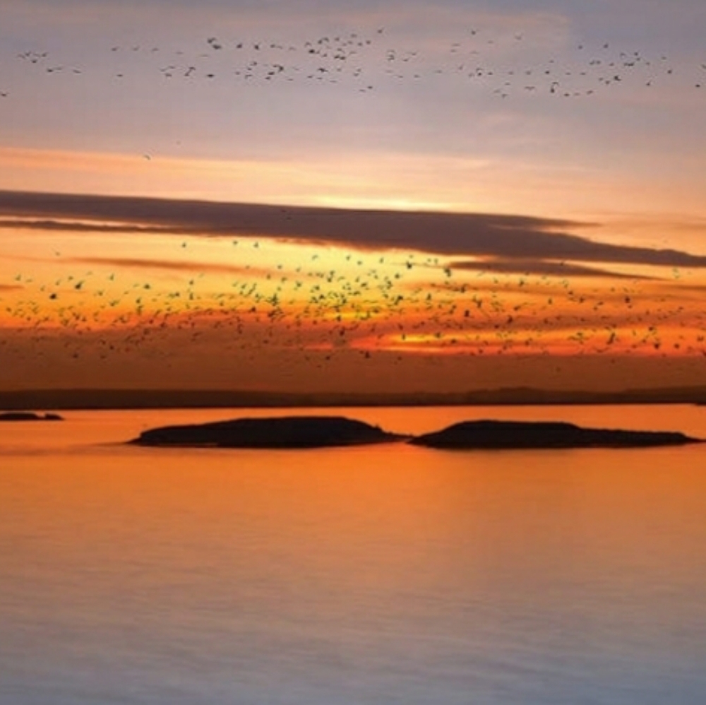 🙂 Meet your Posher Liena 🙃